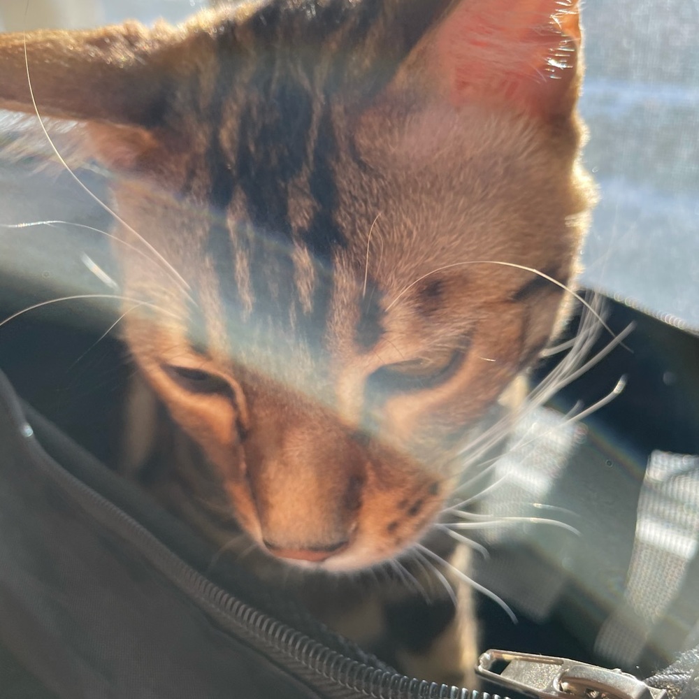 Meet your Posher, Mina